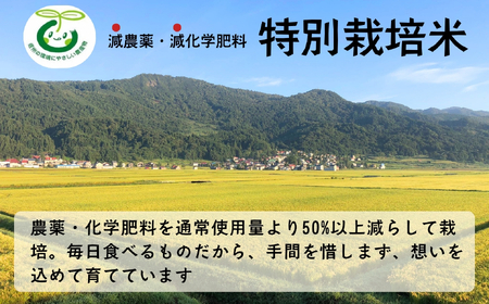 【先行予約】 令和7年産 特別栽培米 「かまくらの里コシヒカリ」 精米 5㎏ (7-1B) 長野県 飯山市 おすすめ ランキング おいしい 高評価 大人気 こしひかり