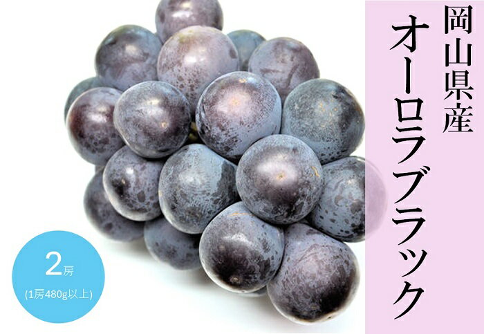 【ふるさと納税】岡山県産 ぶどう 葡萄 ブドウ 種無しぶどう オーロラブラック 2房 果物 スイーツ フルーツ お取り寄せ ギフト 贈答用 デザート 旬 オーロラブラック 2房(1房480g以上) 化粧箱入り