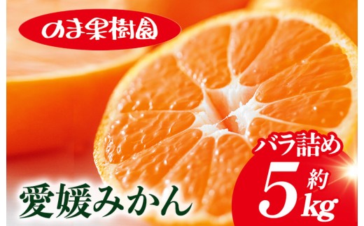 ＼特別寄附額実施中！／【先行予約】愛媛みかんバラ詰め（5kg）[K003670K5] 人気商品 国産 高級フルーツ 人気商品 みかん 柑橘 フルーツ 果物 乃万青果 のま果樹園 温州みかん