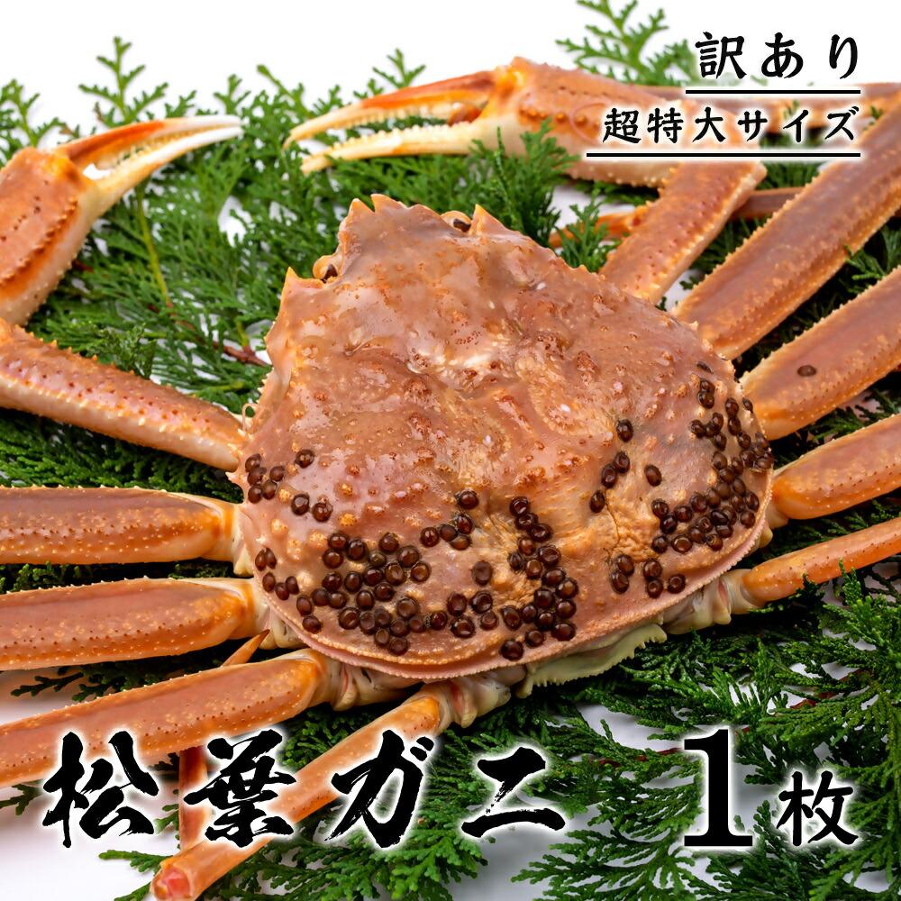 【ふるさと納税】【訳あり】 松葉ガニ（ボイル） 1kg 級 超特大サイズ（さんチョク） | 鳥取　ズワイガニ　送料無料