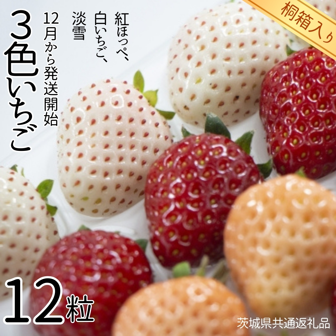 3色いちご （紅ほっぺ,白いちご,淡雪） 桐箱入り 12粒 【12月から発送開始】 （県内共通返礼品：石岡市産） フルーツ 果物 デザート いちご イチゴ 苺 白苺 白いちご 季節 桐箱 贈答 [BI354-NT]