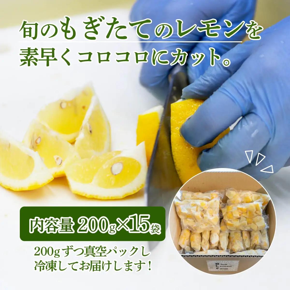 レモン 冷凍 カットレモン 200g×15パック 数量限定