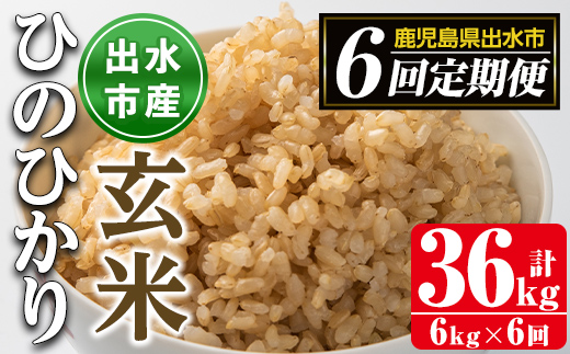 i542 ＜定期便・計6回(連続)＞鹿児島県出水市産ひのひかり玄米＜(3kg×2袋・計6kg)×全6回＞【田上商店】