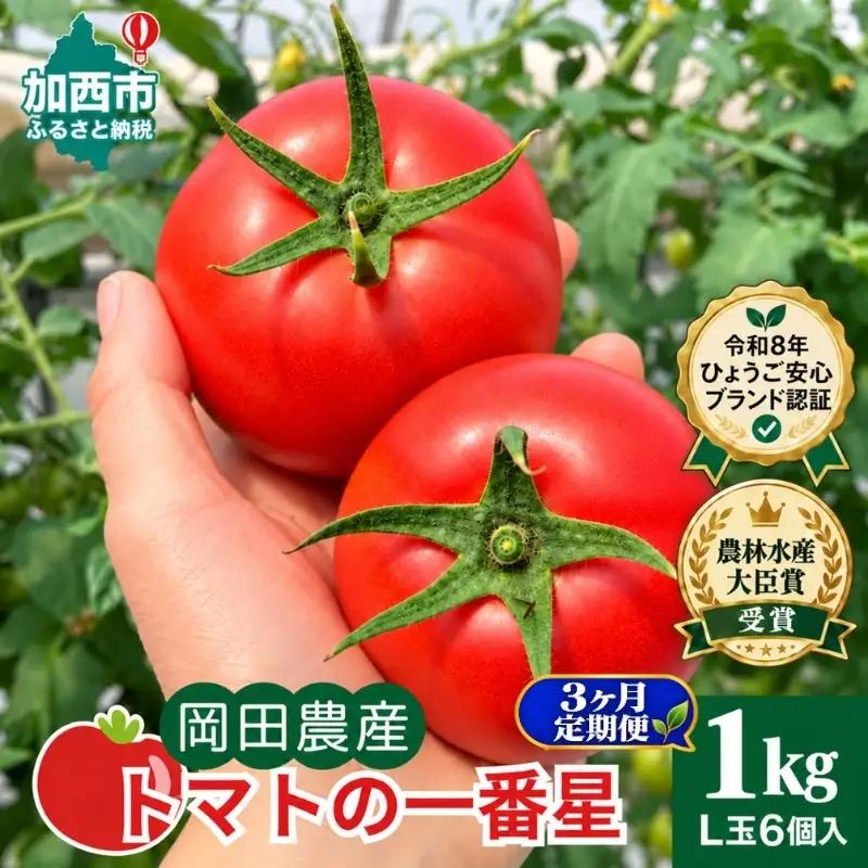 トマト 野菜 トマトの一番星 完熟 高糖度 トマト【1kg×3回】【定期便】