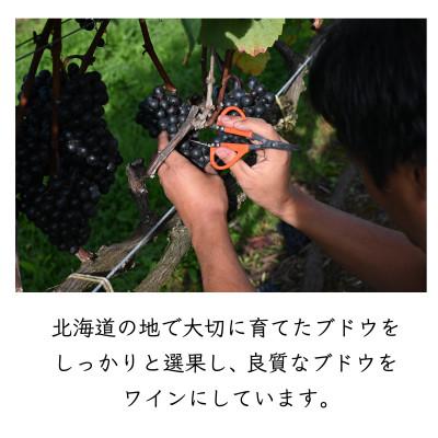 ふるさと納税 長沼町 MARO Wines ワイン 赤と白 計2本セット |  | 02