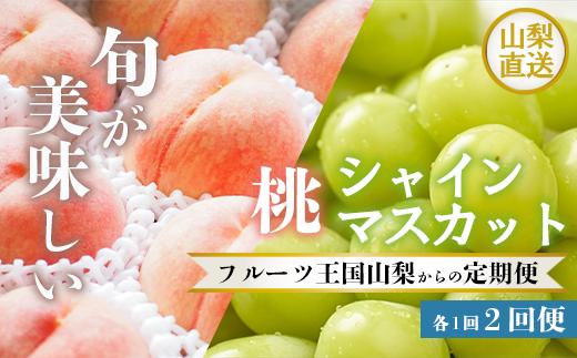 
【24年・25年発送】定期便2回　シャインマスカット500g（1房）・桃1kg以上　山梨県　笛吹市　「フルーツ 果物」　種なしぶどう　白桃　もも　特秀品　粒が大きい　秀品　高評価 人気 ランキング おすすめ　コスパ　甘い　高糖度　 美味しい　デザート　数量限定　送料無料　産地直送　フルーツ定期便　果物定期便　山梨県産　ふるさと納税　販売：KEIPE株式会社 154-039
