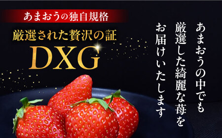 【1月発送】あまおう DXG 1080g (270g以上×4P) 《豊前市》【山口農園】果物 いちご イチゴ 苺 [VDE003]