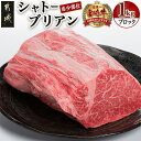 【ふるさと納税】宮崎牛シャトーブリアンブロック1kg - 宮崎牛肉 希少部位 シャトーブリアン 塊肉/ブロック肉 カットしてステーキ/焼肉などに 贈り物 ギフト 送料無料 DI-8901【宮崎県都城市は2年連続ふるさと納税日本一！】