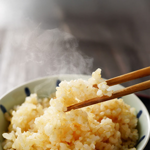 玄米 山形県産 はえぬき 10kg（5kg×2袋） 2025年産 令和7年産 10キロ 山形県寒河江市　036-C-MM047