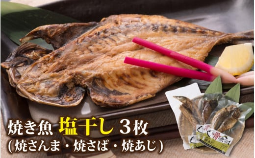 【塩干し】丸ごと骨まで食べられる焼き魚 計3枚（3枚セット×1種）【A-088001_01】