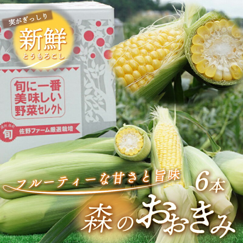 【ふるさと納税】【実がぎっしり大きい！新鮮！朝どれとうもろこし】森のおおきみ6本 野菜 JGAP認証 しずおか認証取得農場 　お届け：2025年6月15日～7月5日