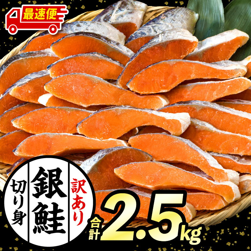 【ふるさと納税】【訳あり】 銀鮭 シャケ 切り身 2.5kg 鮭 新鮮 魚 魚介 魚介類 熟成 脂 脂乗り お弁当 おにぎり おむすび 鮭フレーク 鮭ごはん 西京焼き 蒸し焼き ホイル焼き 家庭用 サケ 海鮮 朝食 和食 お取り寄せ 宮崎県 宮崎市 送料無料