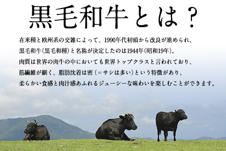 黒毛和牛ハンバーグ 150g×5個 《60日以内に出荷予定(土日祝除く)》 ブランド牛 黒毛和種 有限会社トップルーフ