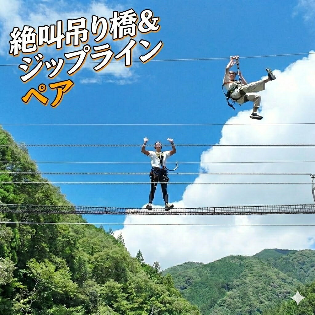 【ふるさと納税】ニヨフラ ジップライン ペア 体験 チケット 仁淀ブルー 絶叫 吊り橋 高さ30m 往復200m 爽快 アクティビティ 観光 アウトドア レジャー 四国 高知 遊び スリル満点 空中散歩 人気 おすすめ 絶景スポット 冒険 高知県 仁淀川町