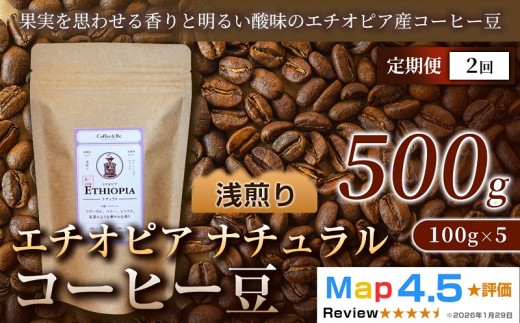 【定期便】エチオピア ナチュラル（100g×5袋）×全2回