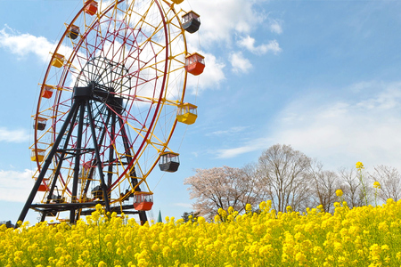東京ドイツ村 入園チケット 1枚＆アトラクション回数券 1冊｜旅行 観光 あそぶ 立ち寄り スポット デーマパーク レジャー チケット 見どころ アクアライン 房総 千葉 [0552]