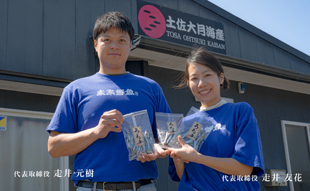 鮮魚 3kg～ 鮮魚ボックス 詰め合わせ 刺身 刺し身 さしみ 鮮度抜群 産地直送 高知県産