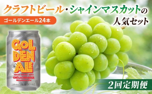 【2回定期便】クラフトビールとシャインマスカットの人気セット（シャインマスカット2房1.1kg以上とクラフトビールゴールデンエール（24缶））｜【JA信州うえだ／オラホビール】ぶどう 葡萄 大粒 果物 フルーツ 生食／ゴールデンエール 350ml 地ビール 頒布会 長野
