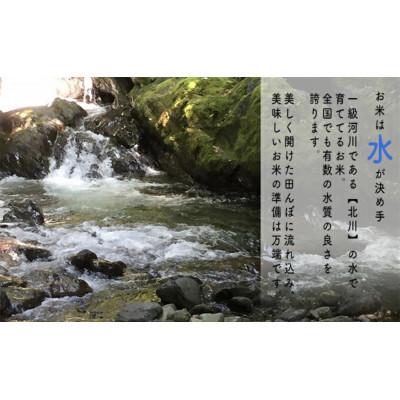 ふるさと納税 若狭町 【令和7年産】福井県若狭町コシヒカリ(1等米)10kg |  | 03