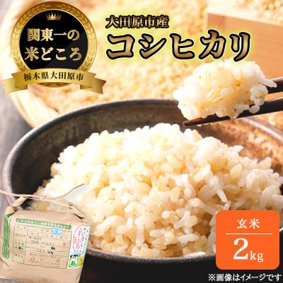 ふるさと納税 大田原市 【令和7年産新米 数量限定】古谷農産 栽培期間中農薬・化学肥料不使用 コシヒカリ 玄米 2kg
