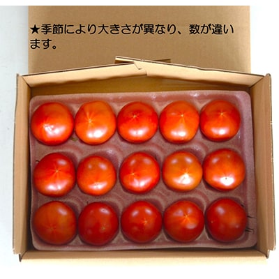 お試しサイズ!フルーツトマト「深層水トマト」約700g【濃厚な甘みと旨み】【配送不可地域：離島】