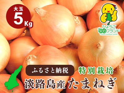 【あさひサンファーム】【大玉 5㎏】ひょうご安心ブランド★特別栽培★淡路島たまねぎ