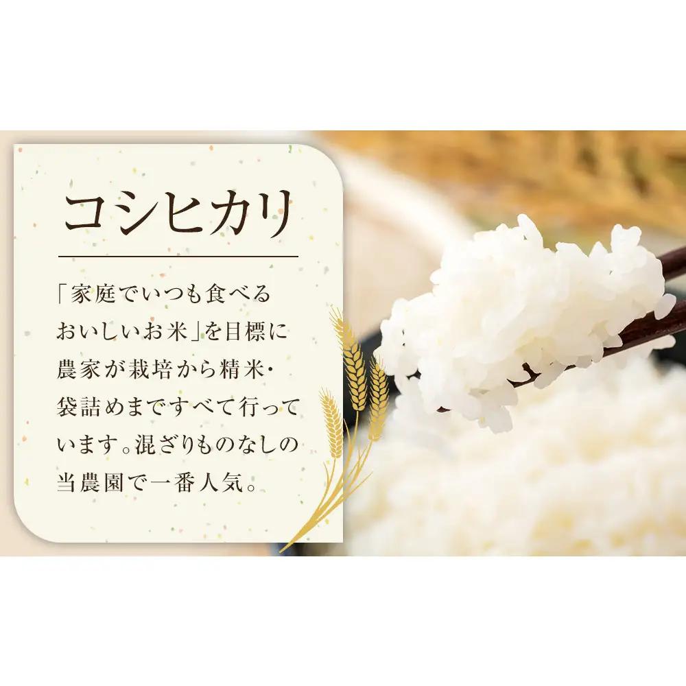 149.日置さん家のお 米 「 コシヒカリ 」5kg×2袋【無洗 米 ・2026年産】| コシヒカリ