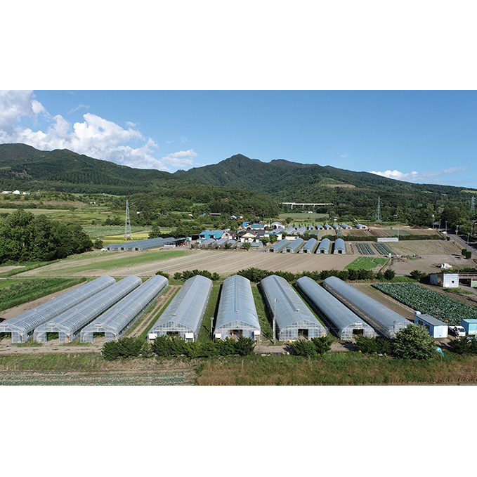 ◆2025年7月から順次出荷◆ farmユメソラ 大玉 トマト 約4kg_イメージ5