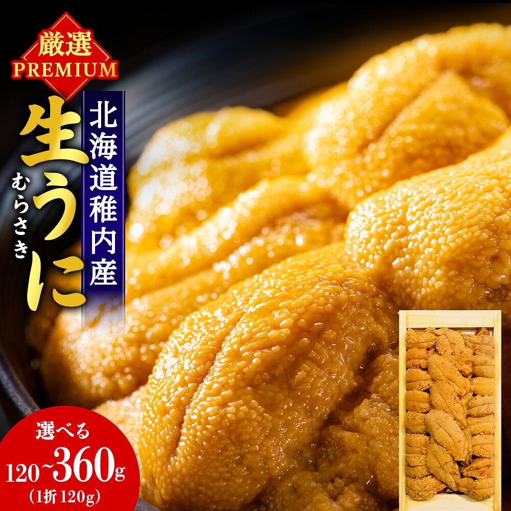 【ふるさと納税】【2026年発送】【厳選PREMIUM】美味しいウニは昆布の名産地にあり!生むらさきうに 選べる1〜3パック 1パック120gムラサキウニ うに むらさきうに 生うに 海鮮 海産物 北海道 稚内 【配送不可地域：離島・沖縄】