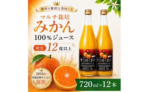 【糖度12度以上】無添加 果汁100％ マルチ栽培みかんジュース 720ml×12本 ミカンジュース みかん ミカン 温州みかん ストレート フルーツジュース フルーツ 果物 くだもの 人気 数量限定 三重県 熊野市【kmkn0078】