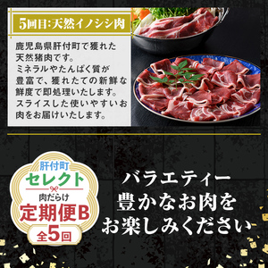 【E90002】＜定期便・全5回＞肝付町セレクト定期便《肉だらけ定期便B》 鹿児島 牛肉 黒毛和牛 豚肉 黒豚 鶏肉 唐揚げ 味付け 定期便 セレクト 加工品 肉加工品 簡単調理 冷凍 冷凍食品 【株