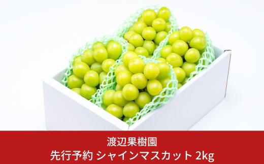 先行予約 シャインマスカット2kg (3~5房) 令和8年度 贈答用 シャインマスカット 新潟県 三条市産 ぶどう [渡辺果樹園] 【034S008】
