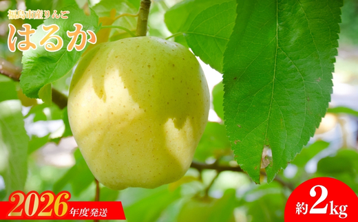 No.2615 りんご「はるか」約2kg【2026年度発送】