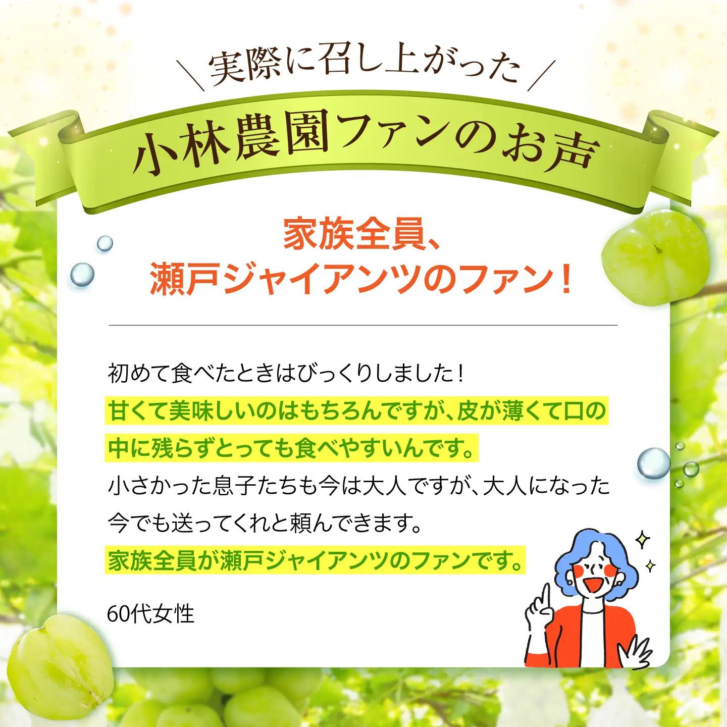 【先行予約】 瀬戸ジャイアンツ 900g以上 【小林農園】 / ブドウ ぶどう 果物 種なし[HAX003]