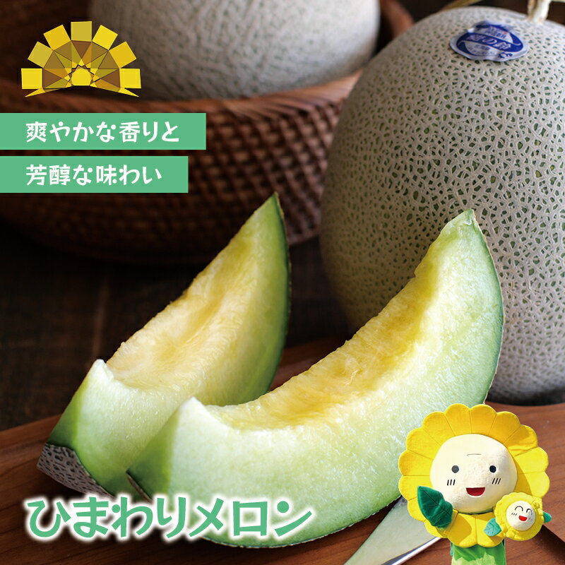 【ふるさと納税】 ひまわり メロン 青肉 / 高級 北海道 贈答 高糖度 国産 甘い 2玉 4～6玉 ※7月上旬～8月上旬に順次発送 //melon