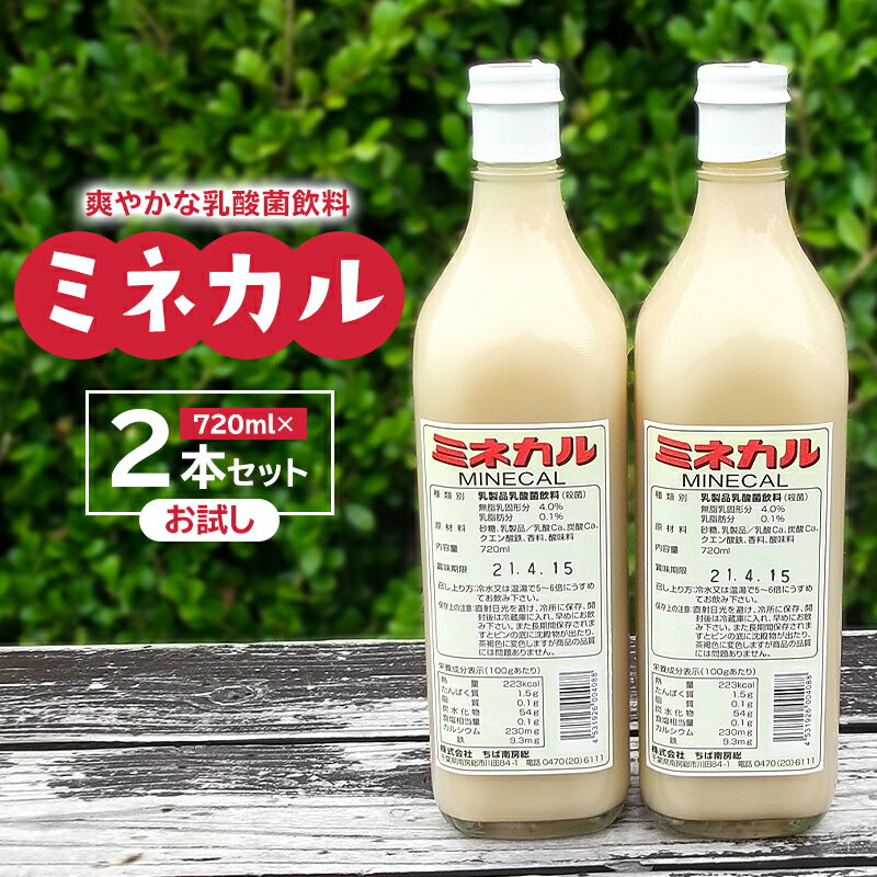 【ふるさと納税】乳酸菌飲料 ミネカル ×2本セット 千葉県 南房総市 乳酸菌 鉄分 カルシウム お取り寄せ 送料無料