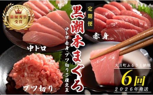 
            【定期便6回】日本一!黒潮本まぐろ 中トロ・赤身・ブツ切り（3種交互）
          