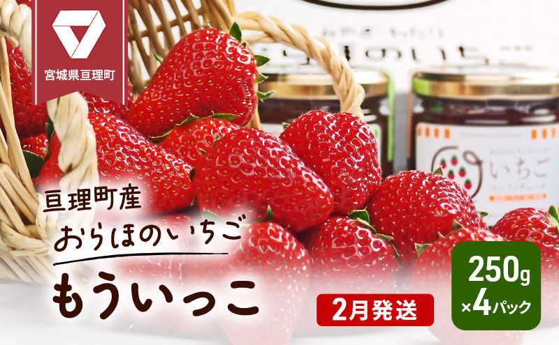 
【2月発送】糖度の中に程よい酸味　亘理産おらほのいちご「もういっこ」
