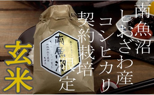 【令和8年産　新米予約】【定期便10Kg×6ヶ月】●玄米● 生産者限定 南魚沼しおざわ産コシヒカリ【定期便 銘柄米 ブランド米 玄米 こしひかり コシヒカリ 魚沼産 新潟米 産地直送】【2026年10月上旬から1ヶ月以内に順次発送予定】