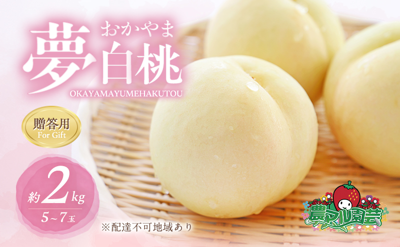 桃 2025年 先行予約 おかやま 夢 白桃 約2kg 5～7玉 贈答用 もも モモ フルーツ 果物 岡山 赤磐市産 農マル園芸 あかいわ農園