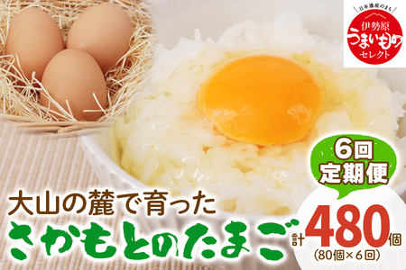 [定期便] たまご 合計480個 (80個×6回)｜坂本養鶏 大山の麓で育ったさかもとのたまご 赤玉卵 玉子 鶏卵 [0096]