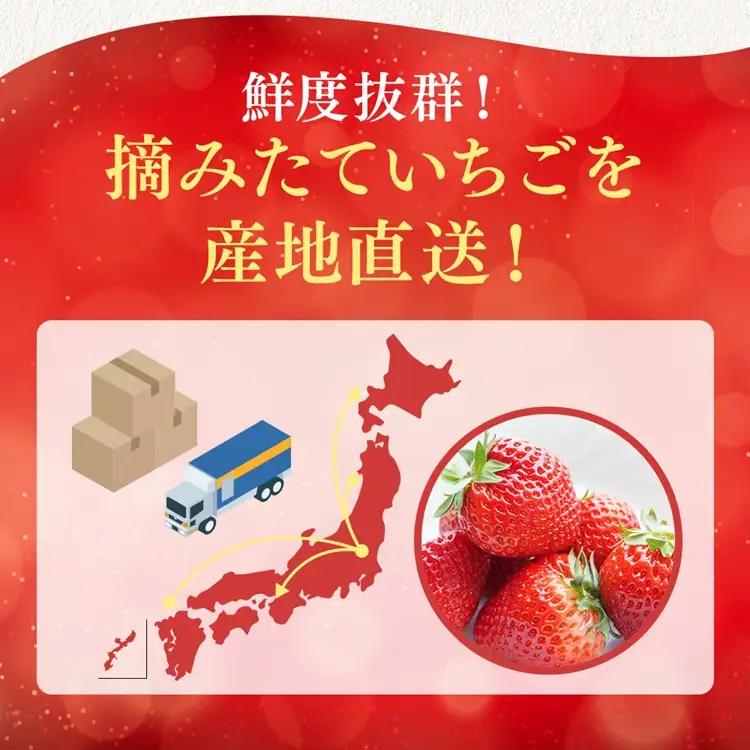 【先行予約】いちご 270g 4パック (2月発送) | いちご 苺 ※2027年2月～発送