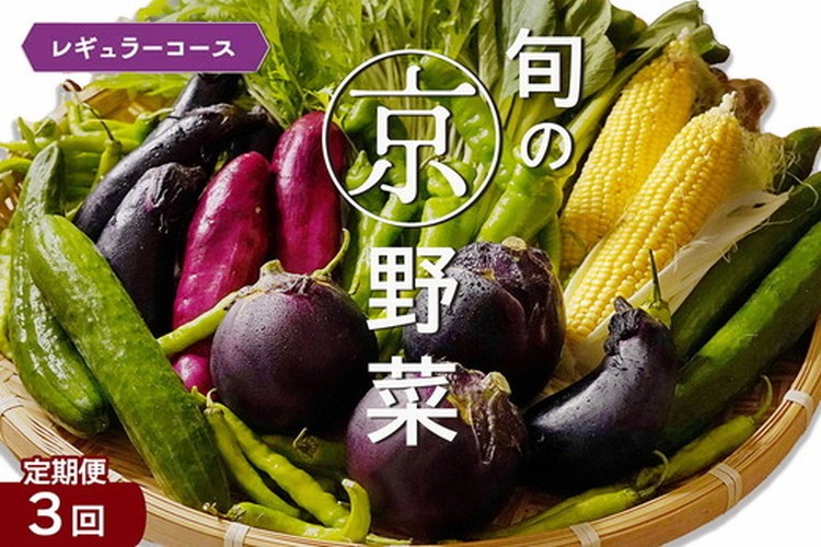 
            【3回定期便】旬の京野菜　毎月お届けレギュラーコース（全3回）
《野菜定期便 野菜詰め合わせ 野菜セット 京野菜 旬の野菜 新鮮野菜》
          