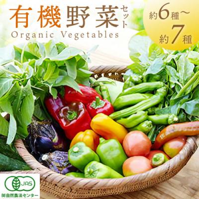ふるさと納税 京丹後市 【有機JAS認定 有機野菜】オーガニック野菜セット(2人用、おまかせ6〜7種類前後)旬のお野菜セット
