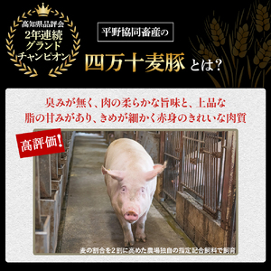 平野協同畜産の「麦豚」 豚もも切り落とし 5kg（500g×10パック） Ahc-15 平野協同畜産 麦豚 切り落とし 四万十ポーク 国産 ぶた肉 豚肉 肉 お肉 もも 国産豚肉 国産ぶた肉 冷凍 小