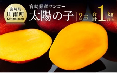 【令和8年発送】宮崎マンゴー 太陽の子２玉（1kg以上） 【 果物 くだもの フルーツ 宮崎マンゴー 】