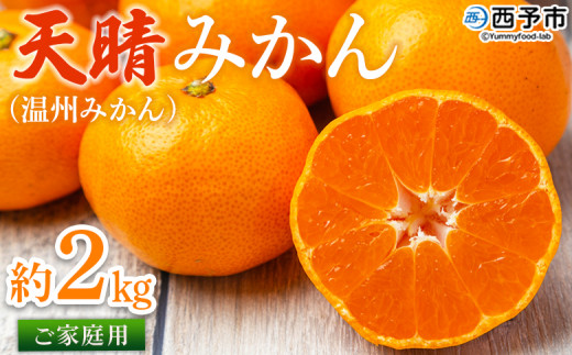 先行予約＜愛媛県明浜産 天晴みかん（温州みかん）約2kg＞ 家庭用 訳あり ワケアリ 自宅用 果物 くだもの フルーツ ミカン 柑橘 選べる 食べて応援 特産品 産地直送 愛媛県 西予市【常温】