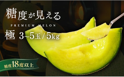 メロン めろん ＼糖度18度以上！／ 【 極 】 エルソルメロン 3～5玉 約3～5kg ｜メロン エルソルメロン おすすめ 人気 国産 茨城 鉾田 サングリーン旭 極 旬 プレゼント 贈り物 青肉 青 果物 5月以降発送