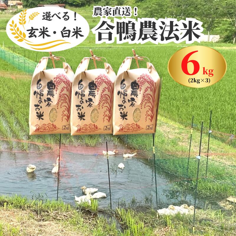【ふるさと納税】令和7年産 白米 玄米 選べる こしひかり 6kg 2kg×3袋 合鴨農法米 コシヒカリ 農薬不使用 化学肥料不使用 合鴨農法 弁当 おにぎり 6kg 6キロ 2kg 2キロ 小分け 少量 精米