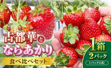 古都華とならあかりの食べ比べセット　1パック×2(1パック15粒) 化粧箱 国産 国産苺 ストロベリー 果物 果実的野菜 フルーツ デザート おやつ 糖度 濃厚 香り 鮮やか 甘い ビタミン 奈良県産 お取り寄せ 贈答用 送料無料